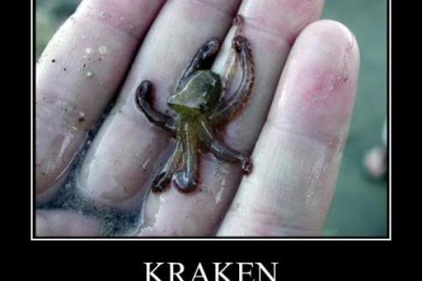 Kraken 25 at