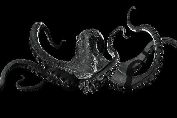 Kraken 17 at