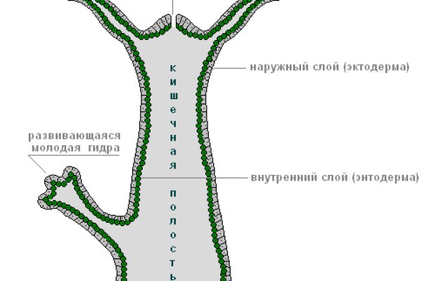 Кракен нарко шоп